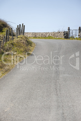 typical road in Ireland