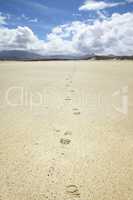 sand beach with footprints at Donegal Ireland