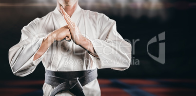 Composite image of fighter performing hand salute