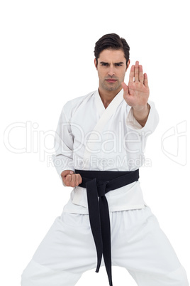 Portrait of fighter performing karate stance