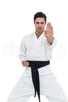 Portrait of fighter performing karate stance