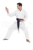 Fighter performing karate stance