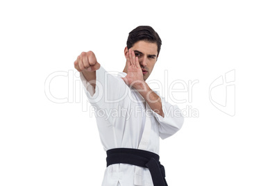 Fighter performing karate stance