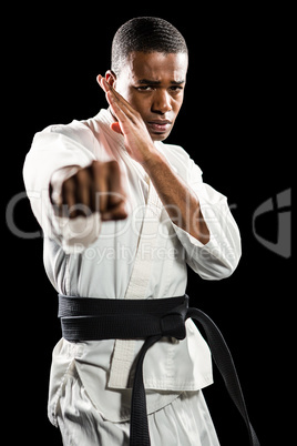 Fighter performing karate stance