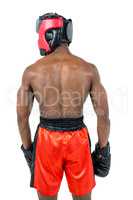 Rear view of boxer standing