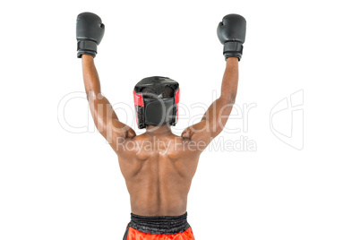 Boxer posing after victory