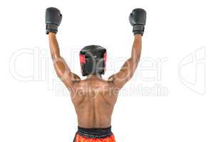 Boxer posing after victory