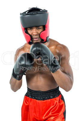 Boxer performing boxing stance