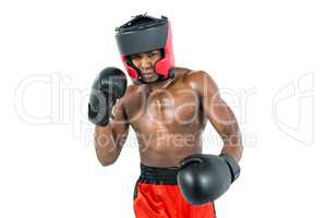 Boxer performing boxing stance