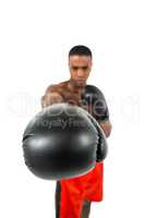 Boxer performing upright stance