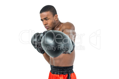 Boxer performing upright stance