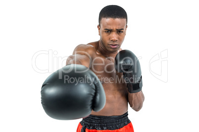 Boxer performing upright stance