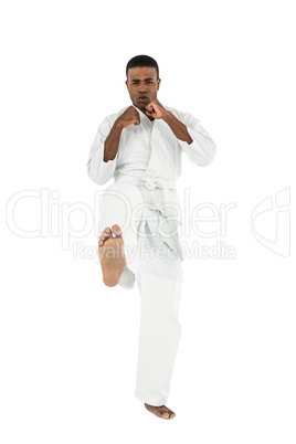 Fighter performing karate stance