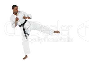 Fighter performing karate stance