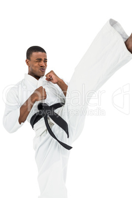 Fighter performing karate stance