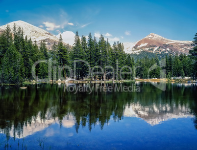 Yosemite National Park