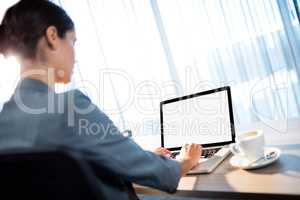 Businesswoman using a computer