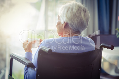 Rear view of senior woman on wheelchair holding a cup of tea