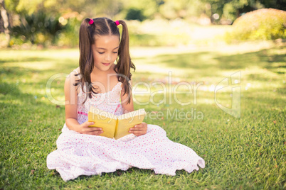 Young girl reading book in park