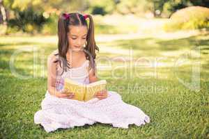 Young girl reading book in park