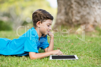 Young boy using digital tablet in park