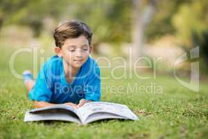 Young boy reading book in park