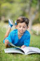 Young boy reading book in park
