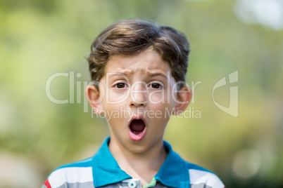 Young boy making a funny faces