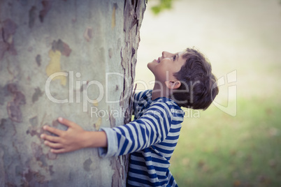 Boy hugging tree trunk in park