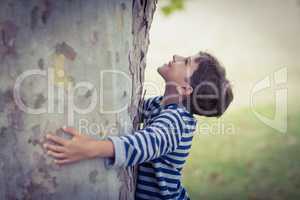 Boy hugging tree trunk in park
