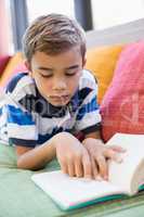 Schoolboy lying on sofa and reading book