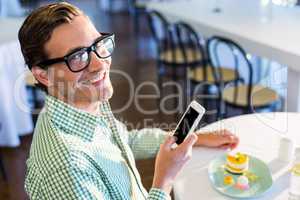 Portrait of man using mobile phone while having a lunch