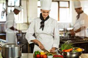 Young female chef cutting vegetables