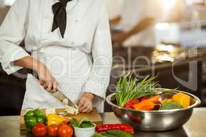 Mid section of chef cutting vegetables