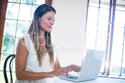 Smiling woman using a laptop in restaurant Smiling woman using a laptop in restaurant