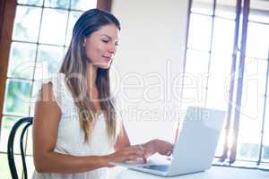 Smiling woman using a laptop in restaurant