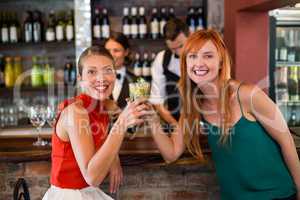 Portrait of happy friends holding a glass of gin in front of bar counter