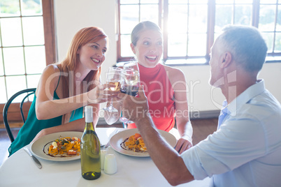 Friends toasting wine glass while having meal