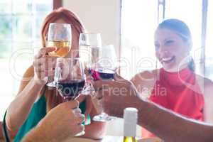 Friends toasting wine glass while having meal
