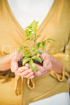 Business woman showing a plant