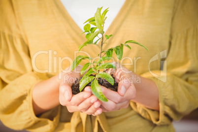 Business woman showing a plant