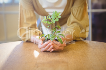 Business woman showing a plant