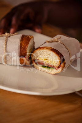 Close up view of sandwich
