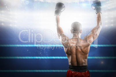 Composite image of boxer posing after victory