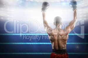 Composite image of boxer posing after victory