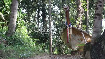 wooden boat in the forest