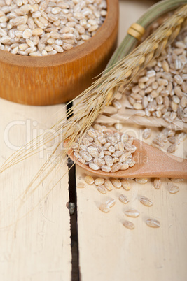 organic barley grains