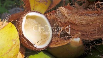 chopped coconut close-up