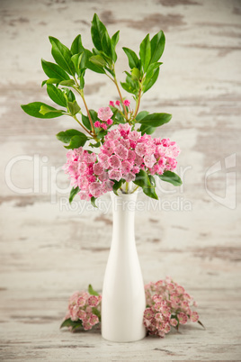 Rhododendron-Azalee in der Vase