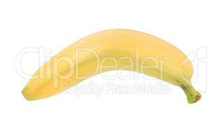 Yellow Banana Isolated on white